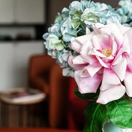 Maison De Raf Όπως